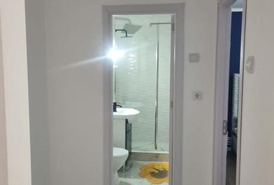 Apartament cu 2 camere nedecomandat în Costieni - 7