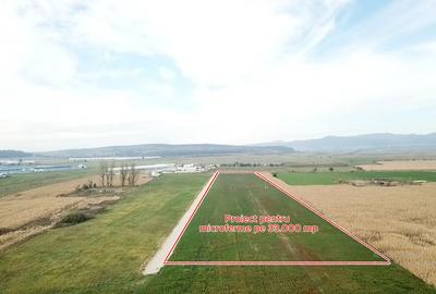 Teren agricol extravilan de 1100 mp, în Codlea - 8