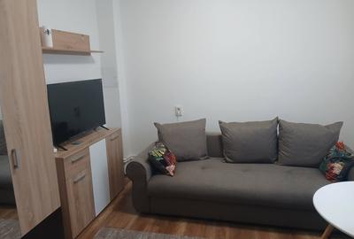 Garsonieră decomandată în Alexandru cel Bun - 4