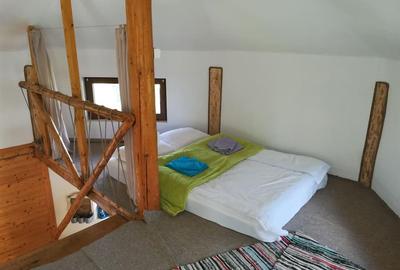 Casă individuală cu 2 camere cu Teren 1300 Mp în Prisaca Dornei - 6