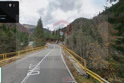 Teren extravilan de 500 mp, în Arefu - 2
