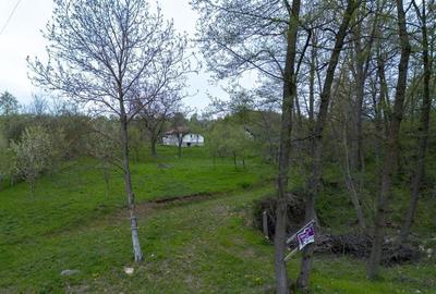 Casă cu 2 camere în Berislăvești - 2