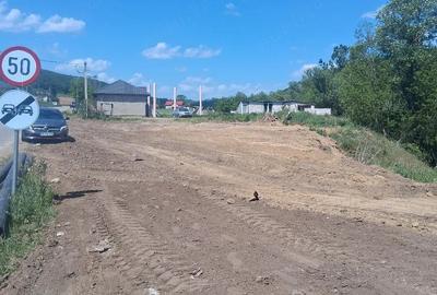 Casă cu Teren 8000 Mp în Panticeu - 1