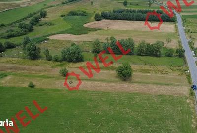 Teren de 2400 mp, în Barcani - 11