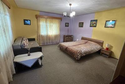 Casă individuală cu 3 camere cu Teren 2500 Mp în Ulieș - 29