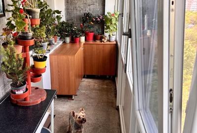Apartament cu 2 camere semidecomandat în Berceni - 6