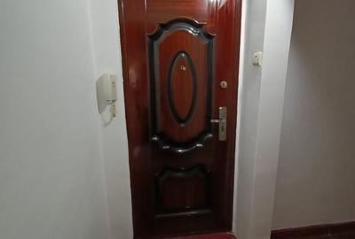 Apartament cu 2 camere semidecomandat în Viziru 1 - 10