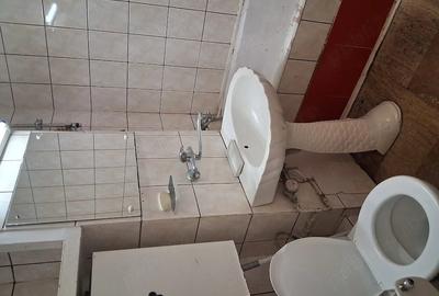 Apartament cu 3 camere decomandat în Lipovei - 1