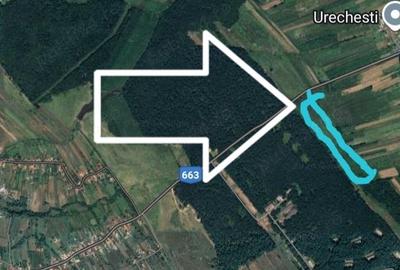 Teren de 2302 mp, în Drăguțești - 2