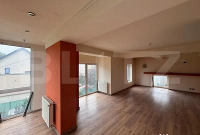 Spațiu comercial, de 270 mp, în Bogdăneștilor