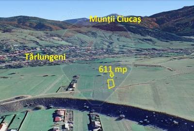 Teren de 611 mp, în Tărlungeni - 5