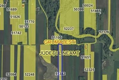 Teren de 9378 mp, în Dragomirești - 1