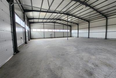 Spațiu industrial, de 500 mp, în Central - 6