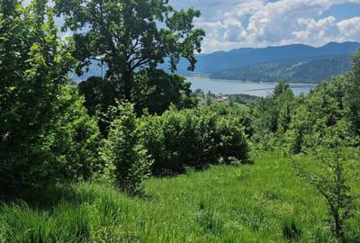 Teren de 3800 mp, în Buhalnița - 3