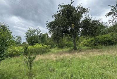 Casă cu 3 camere în Bătuța - 2