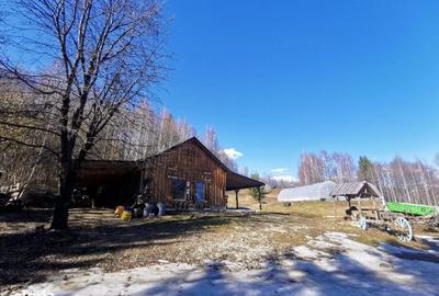 Casă cu 4 camere cu Teren 62000 Mp în Horea - 4
