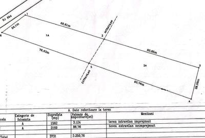 Teren de 3731 mp, în Turcinești