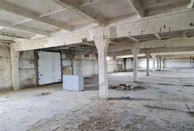 Spațiu industrial, 1723 mp în Șoimuș - 5
