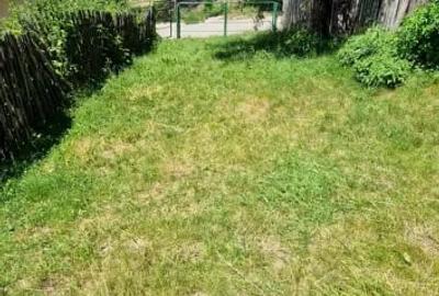 Teren de 2300 mp, în Nucșoara