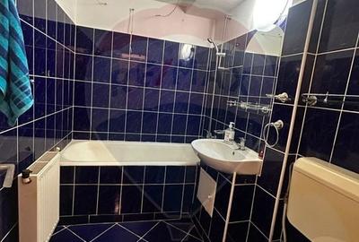 Apartament cu 3 camere decomandat în Bogdan Vodă - 17