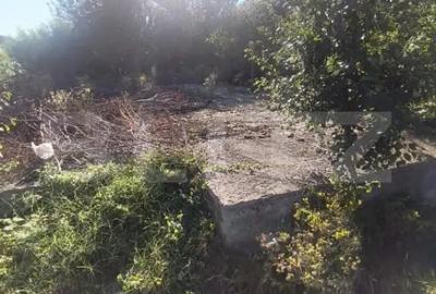 Casă cu 3 camere cu Teren 700 Mp în Lunca Mureșului