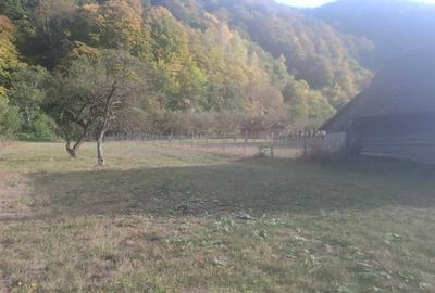 Spațiu comercial, în Râu Sadului