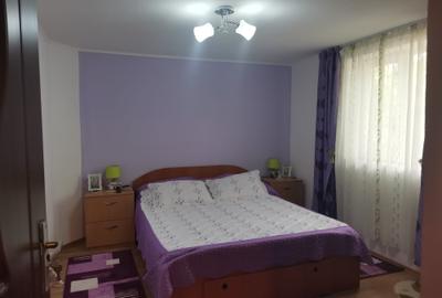 Casă individuală cu 3 camere cu Canalizare în Viișoara - 13