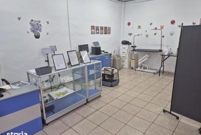Spațiu comercial, de 45 mp, în Drumul Taberei