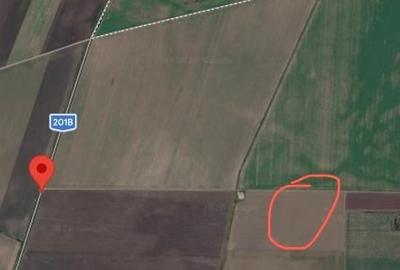 Teren agricol extravilan de 300000 mp, în Central - 2