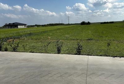 Teren de 2500 mp, în Movila (Niculești)
