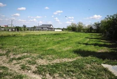 Teren agricol intravilan de 1198 mp, în Tărian - 8