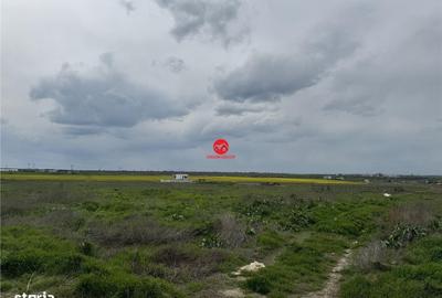 Spațiu comercial, în Boreal