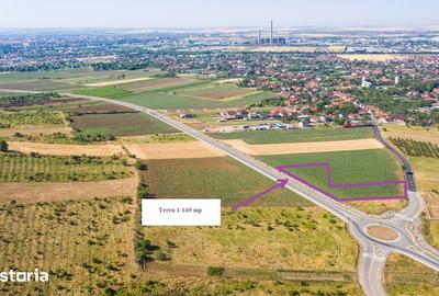 Teren de 1000 mp, în Oncea - 1
