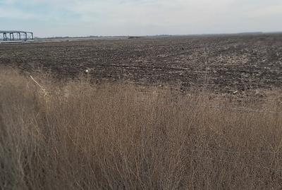 Teren agricol intravilan de 4.5 mp, în Brăilei - 16