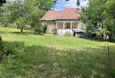 Casă cu 3 camere în Dumbrava - 2
