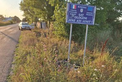 Teren de 5000 mp, în Poienarii Burchii - 4