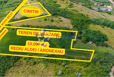 Teren Construcții intravilan de 10000 mp, în Rediu Aldei - 4