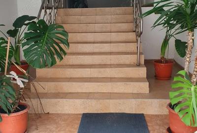 Garsonieră semidecomandată în 7 Noiembrie - 3