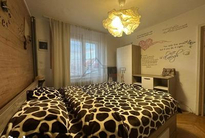 Apartament cu 2 camere decomandat în Podu Roș - 8
