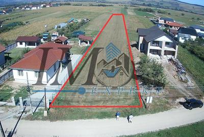 Teren Construcții intravilan de 4200 mp, în Micești - 1