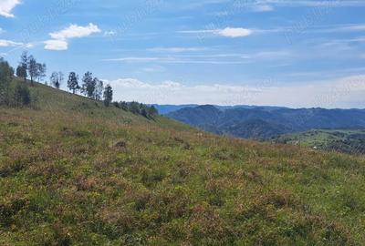 Teren în Râmeț - 6