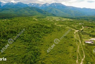Teren de 2000 mp, în Porumbacu de Jos - 4