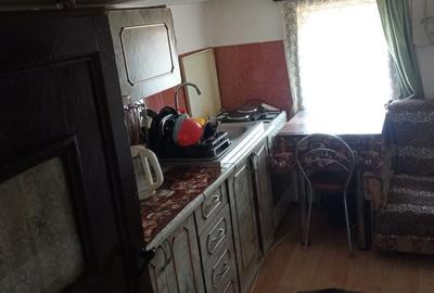Casă cu 2 camere în Cunești - 8
