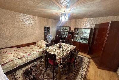 Casă cu Teren 1400 Mp în Mehadia - 3