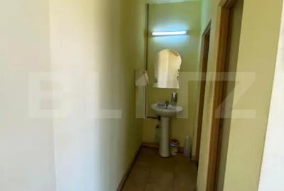 Spațiu comercial, de 300 mp, în Viișoara - 1