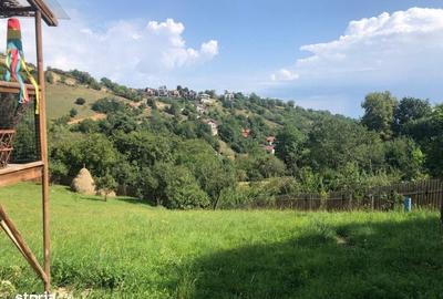 Spațiu comercial, în Schei - 11