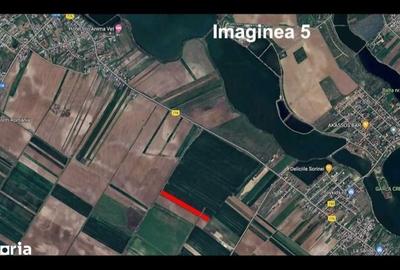 Teren de 24260 mp, în Ciocănești - 2