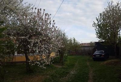 Casă cu 5 camere în Exterior Vest - 6