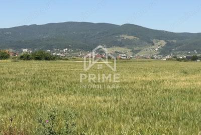 Teren de 11100 mp, în Central