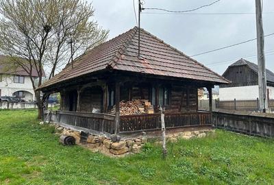 Teren de 1039 mp, în Berbești